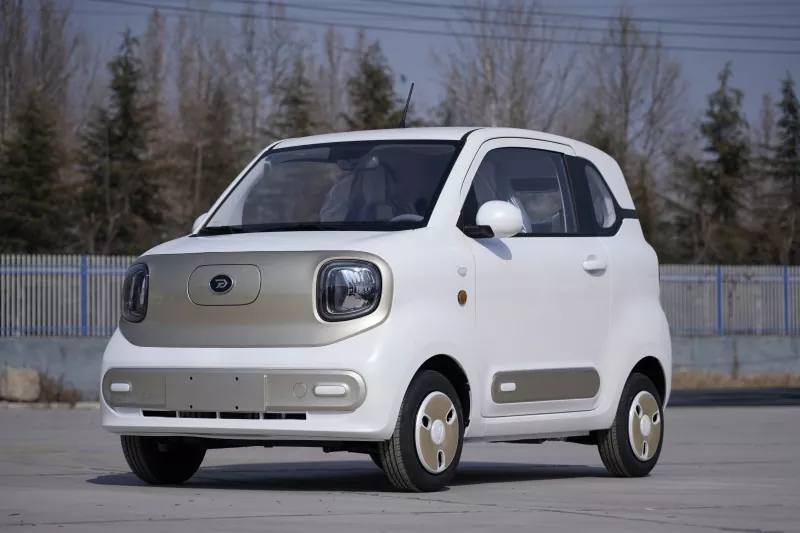 EEC COC Electric Mini Car EEC COC Electric Mini Car